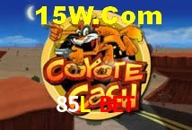 Crash Games Statistics 85L BET